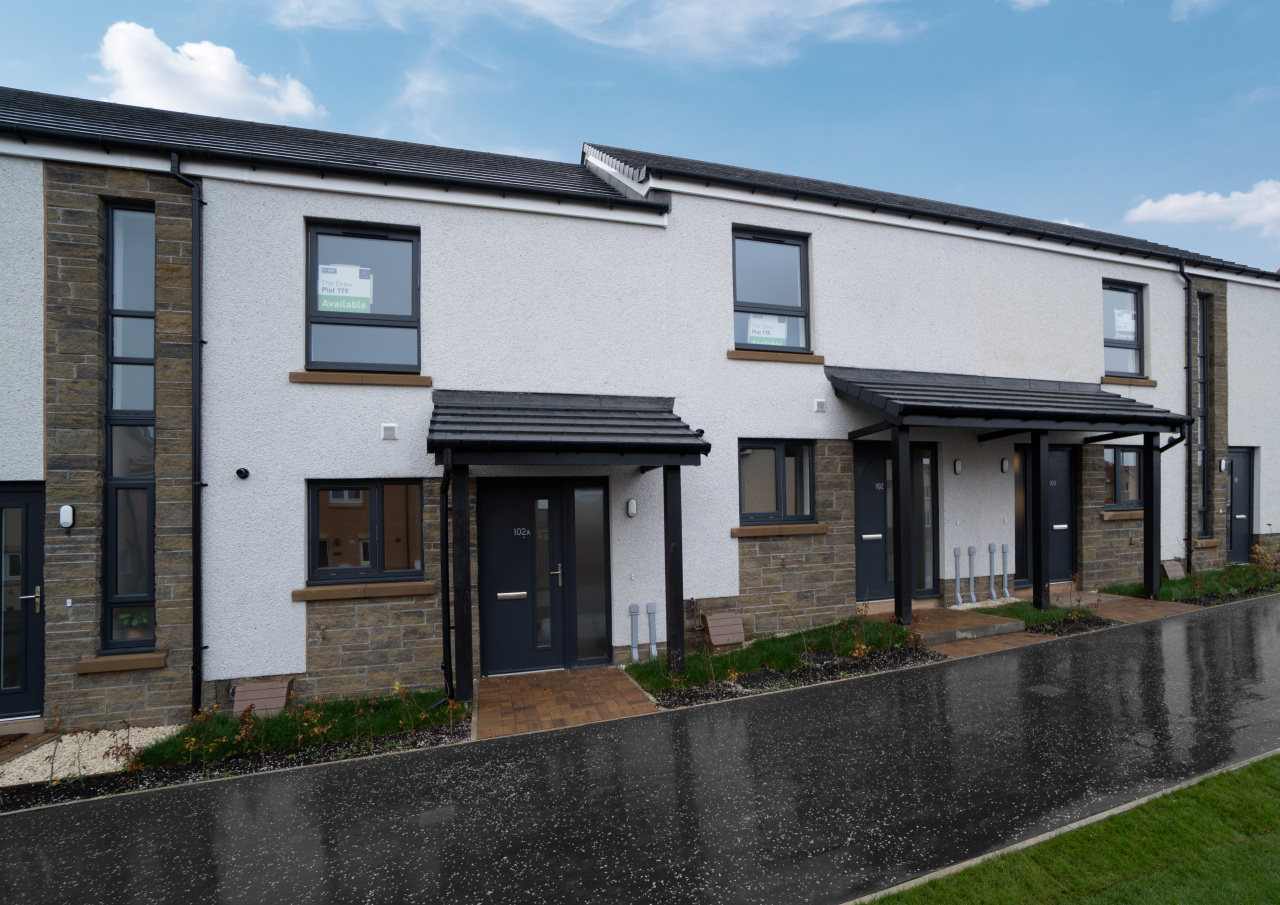 Drew Plot 179 DSC09657