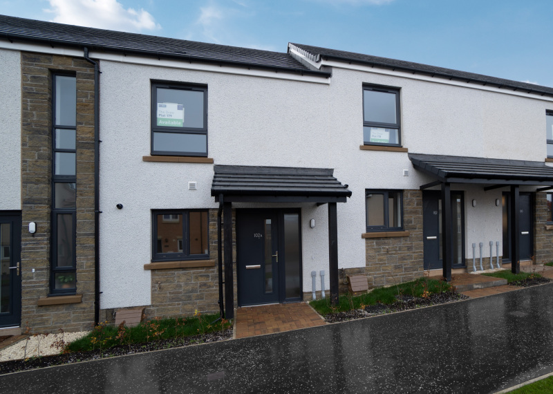 Drew Plot 179 DSC09657