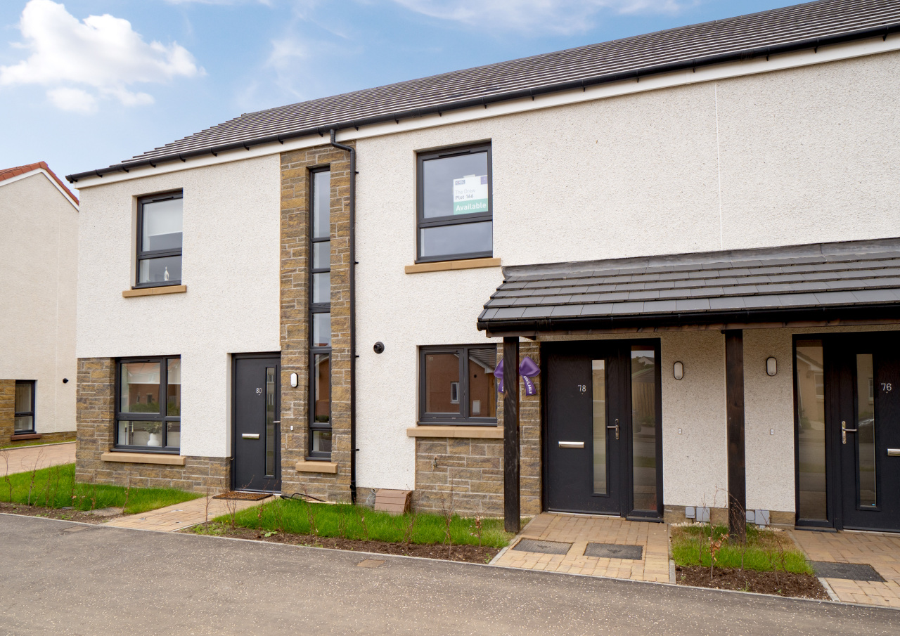 The Drew Plot 166 DSC03355