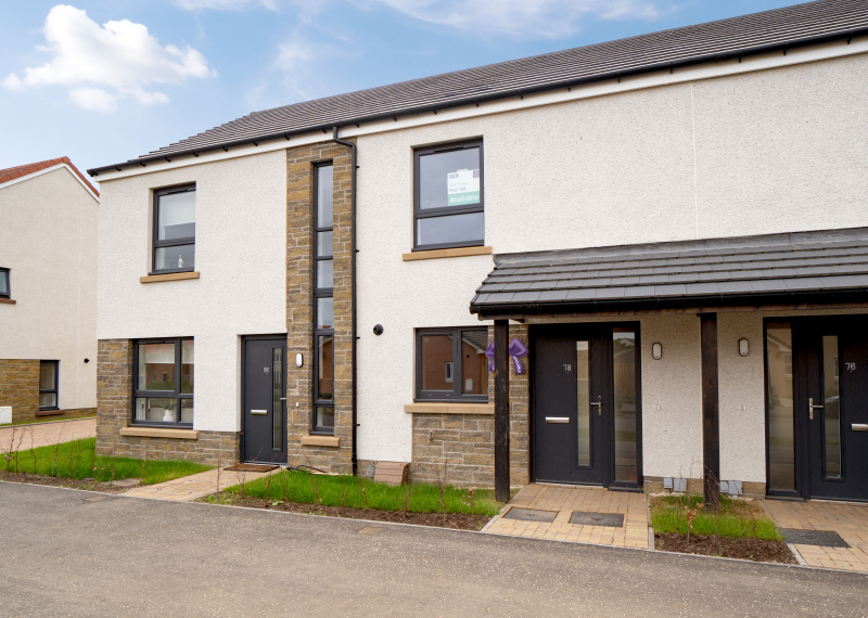 The Drew Plot 166 DSC03355